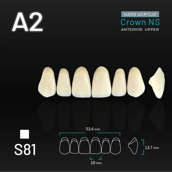 Yamahachi Acryl Crown NS upper anterior A2-S81