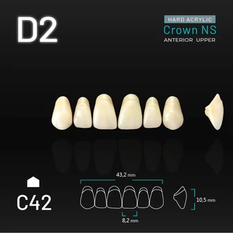 Yamahachi Acryl Crown NS upper anterior D2-C42