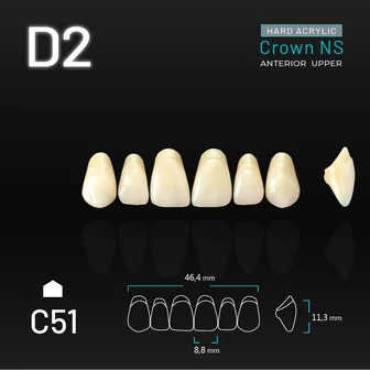 Yamahachi Acryl Crown NS upper anterior D2-C51