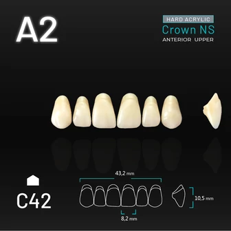 Yamahachi Acryl Crown NS upper anterior A2-C42