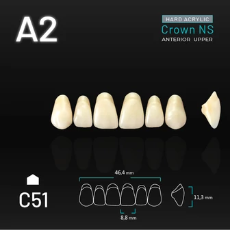 Yamahachi Acryl Crown NS upper anterior A2-C51