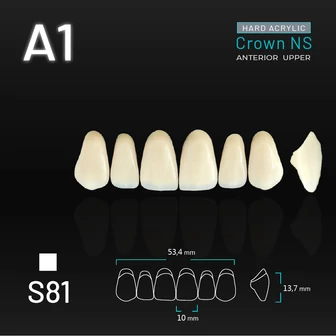 Yamahachi Acryl Crown NS upper anterior A1-S81