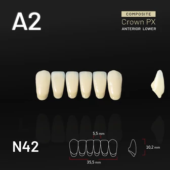 Yamahachi Composit Crown PX lower anterior A2-N42