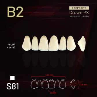 Yamahachi Composit Crown felső metsző B2 S81