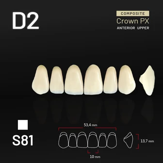 Yamahachi Composit Crown PX upper anterior D2-S81
