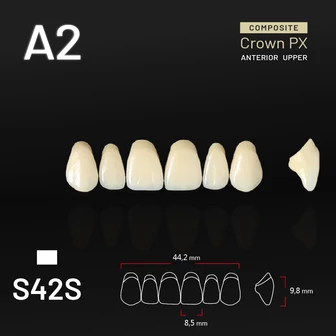 Yamahachi Composit Crown PX upper anterior A2-S42S