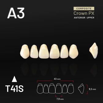 Yamahachi Composit Crown PX upper anterior A3-T41S