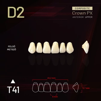 YM Composit Crown Felső metsző D2-T41