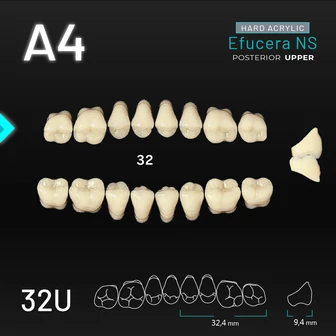 Yamahachi Acryl Efucera NS upper posterior A4-32U