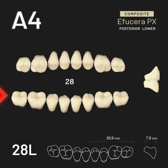 Yamahachi Composit EFUCERA alsó rágó A4 28L