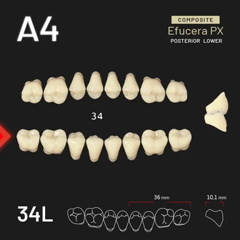Yamahachi Composit EFUCERA alsó rágó A4 34L