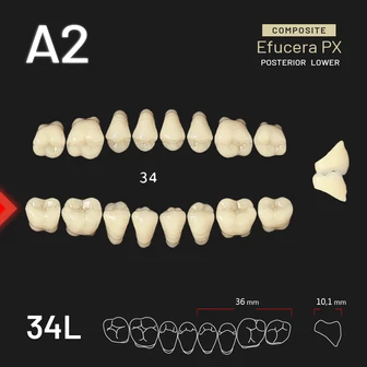 Yamahachi Composit EFUCERA alsó rágó A2 34L