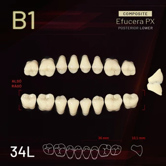 Yamahachi Composit EFUCERA alsó rágó B1 34L