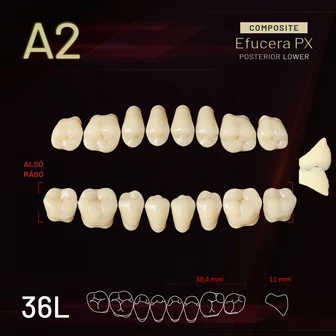 YM Composit alsó rágó A2-36L