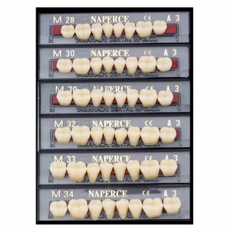 Yamahachi Akril Naperce alsó rágó A2-M34L