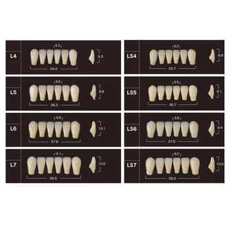 Yamahachi Composit Soluut PX alsó metsző C2-L4