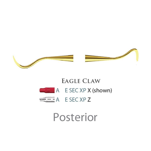 Fogászati műszer XP Scaler Eagle Claw Posterior, acél markolattal