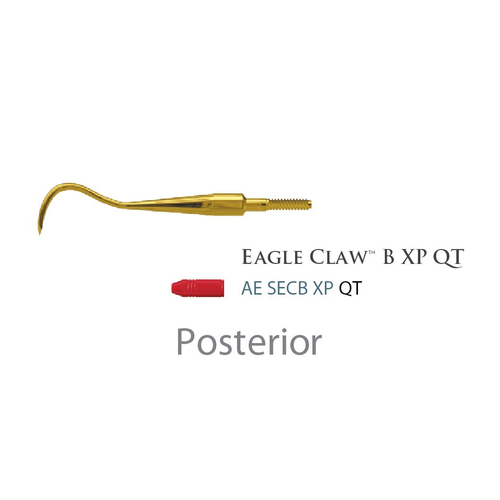 Fogászati műszer Quik-Tip Scaler, Type: Eagle Claw B 34Type: Eagle Claw B