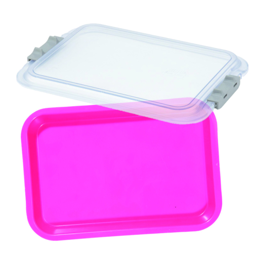 Zirc Mini Tray tálca Neon pink + Átlátszó zárható fedél