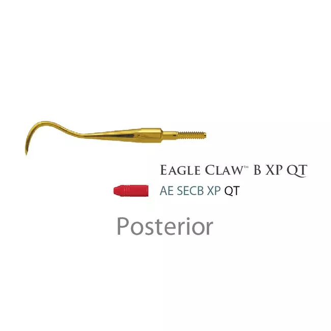 Fogászati műszer Quik-Tip Scaler, Type: Eagle Claw B 34Type: Eagle Claw B