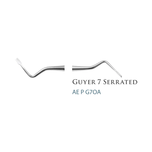 AE.Packing Instrument Guyer 7off-Angle