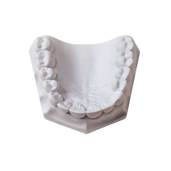 WM Orthodontic Stone 15kg