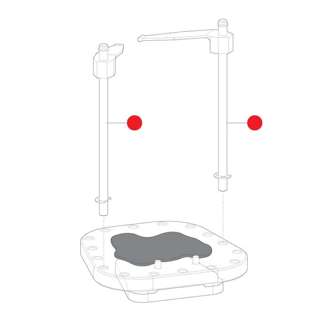 Amann Girrbach Fixation pins incl. fixation spring level