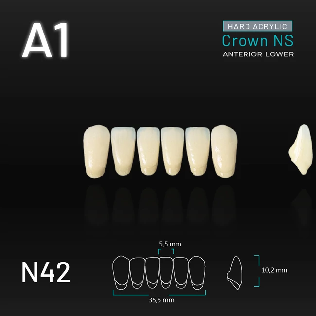 Yamahachi Acryl Crown NS alsó metsző A1 N42