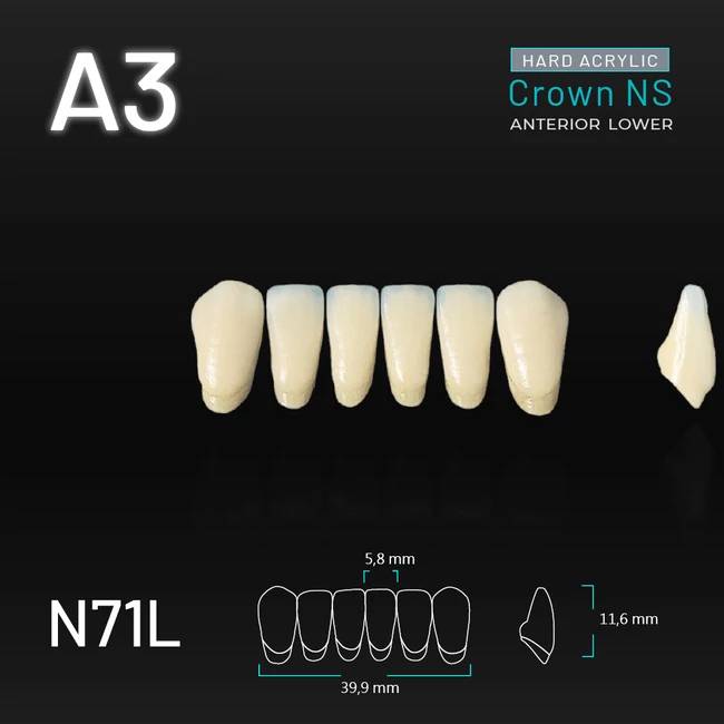 Yamahachi Acryl Crown NS alsó metsző A3 N71L