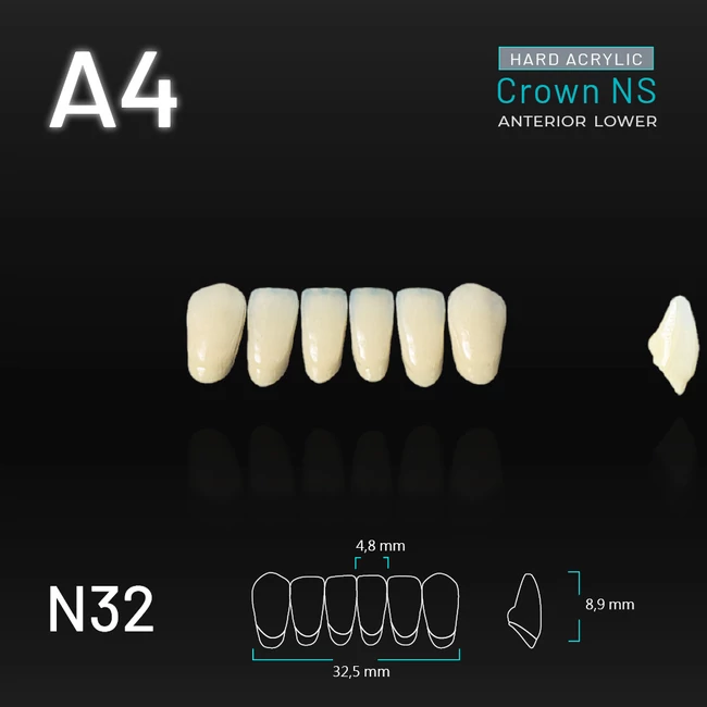 Yamahachi Acryl Crown NS lower anterior A4-N32