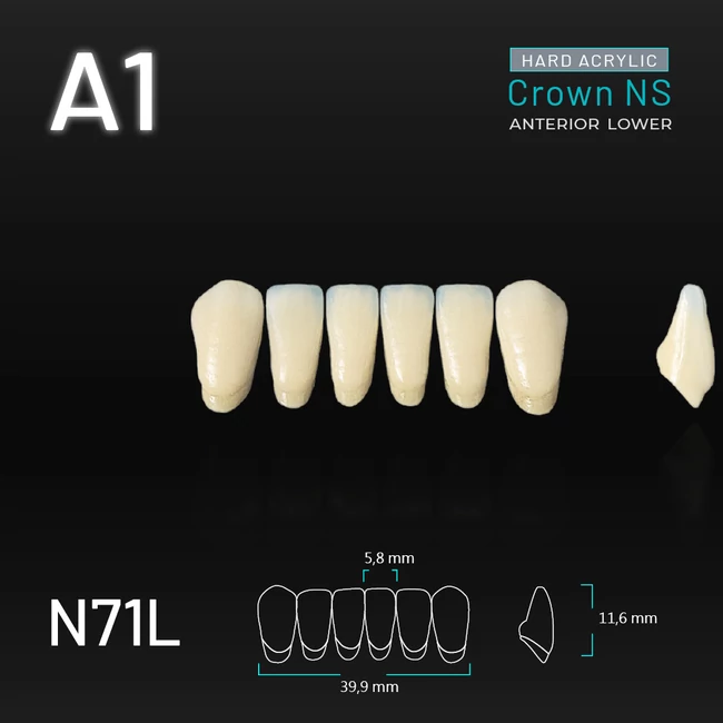 Yamahachi Acryl Crown NS alsó metsző A1 N71L