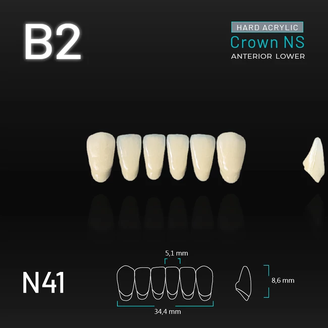 Yamahachi Acryl Crown NS alsó metsző B2 N41