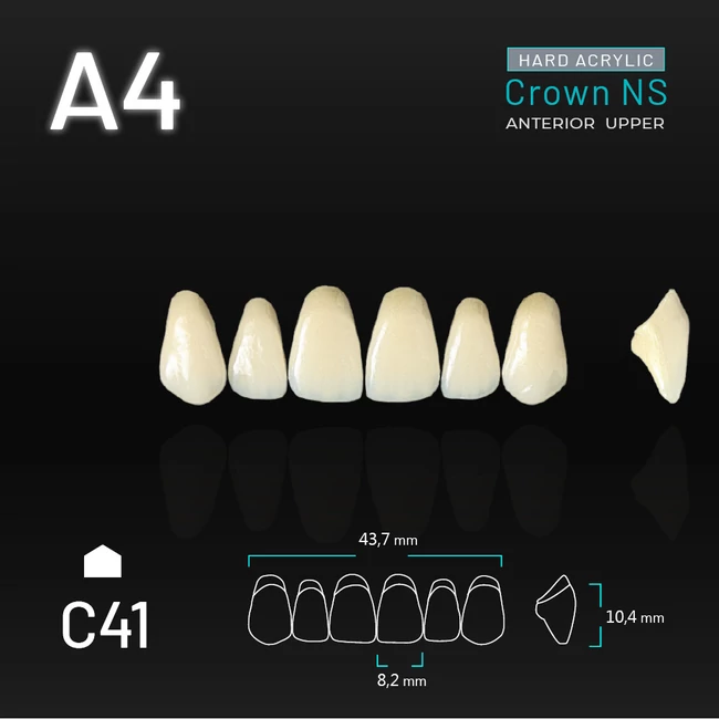 Yamahachi Acryl Crown NS upper anterior A4-C41