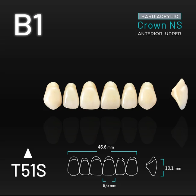 Yamahachi Acryl Crown NS upper anterior B1-T51S
