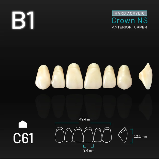 Yamahachi Acryl Crown NS upper anterior B1-C61