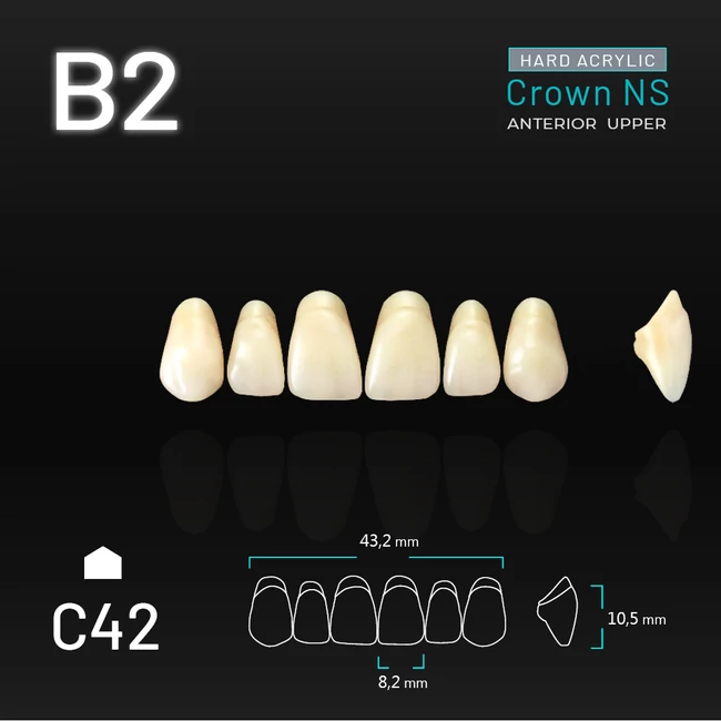 Yamahachi Acryl Crown NS upper anterior B2-C42