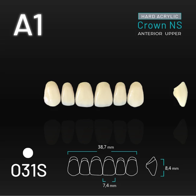 Yamahachi Acryl Crown NS upper anterior A1-O31S