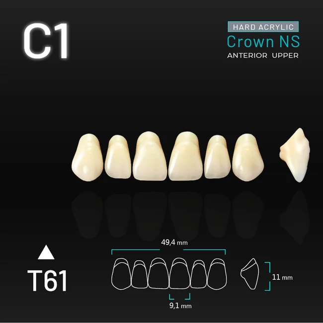 Yamahachi Acryl Crown NS upper anterior C1-T61
