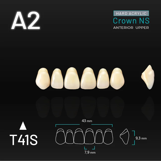 Yamahachi Acryl Crown NS felső metsző A2 T41S