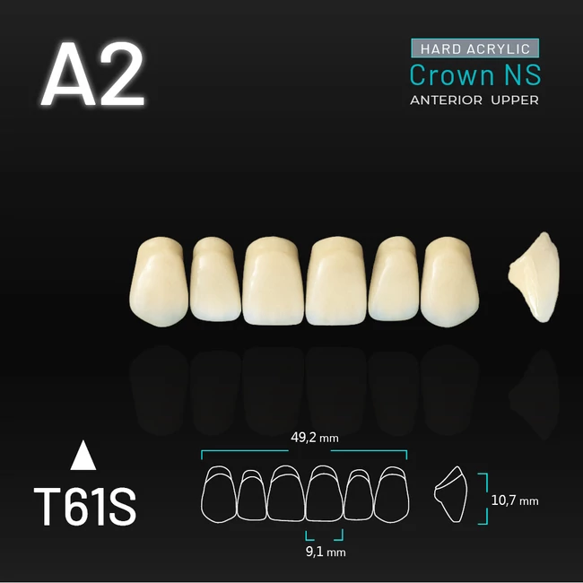 Yamahachi Acryl Crown NS felső metsző A2-T61S