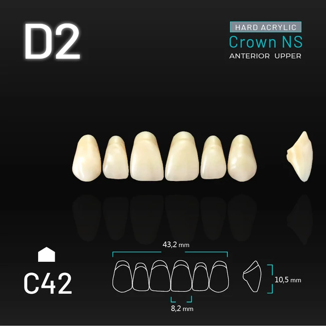 Yamahachi Acryl Crown NS upper anterior D2-C42