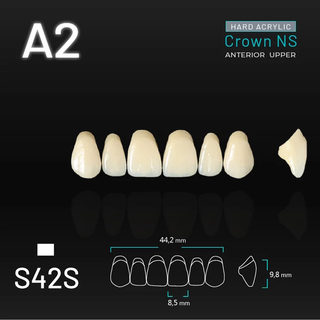 Yamahachi Acryl Crown NS felső metsző A2 S42S