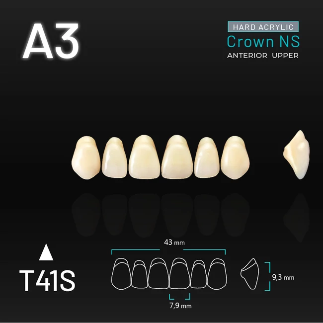 Yamahachi Acryl Crown NS felső metsző A3 T41S