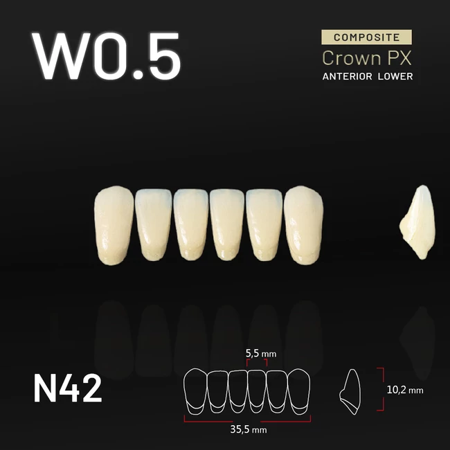 Yamahachi Composit Crown PX lower anterior W0,5-N42