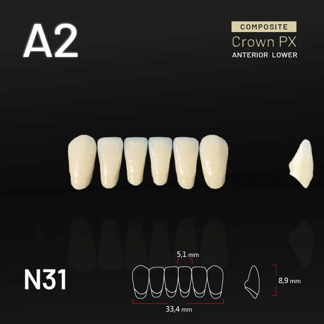 YM Composit Crown Alsó metsző D3-N61S