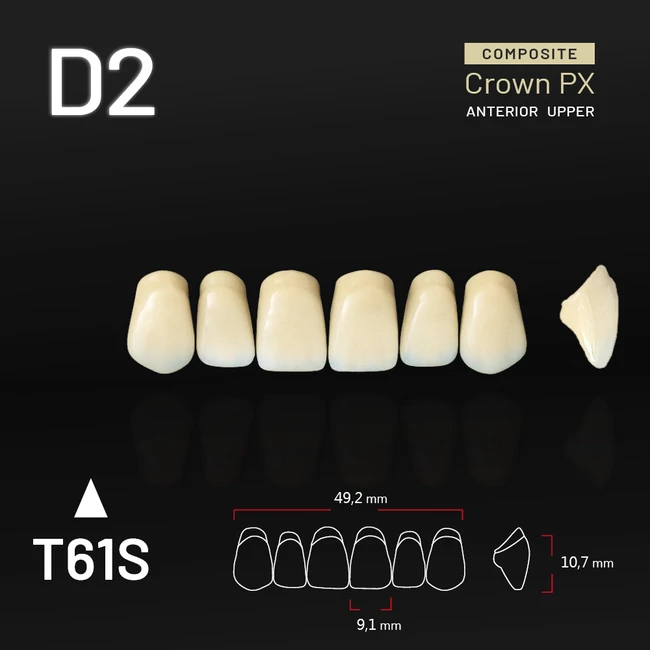Yamahachi Composit Crown PX upper anterior D2-T61S