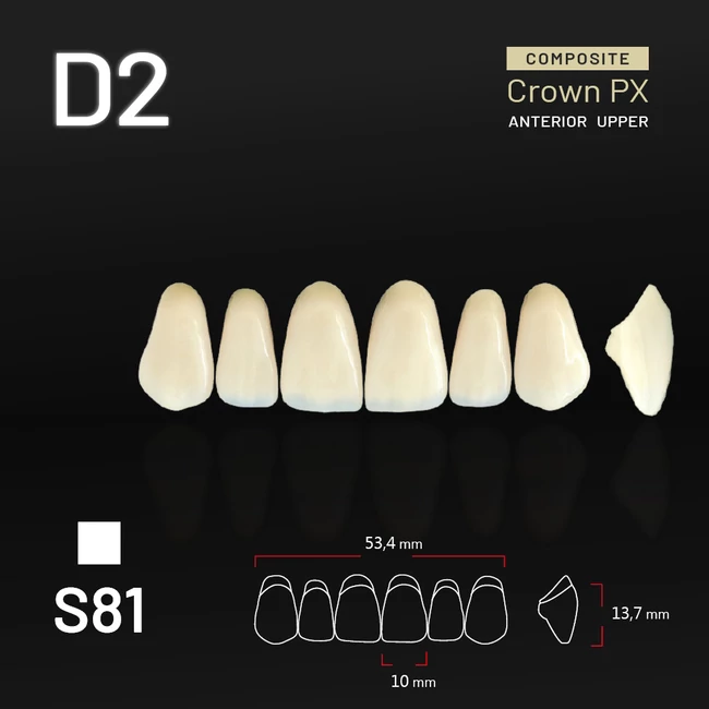 Yamahachi Composit Crown PX upper anterior D2-S81