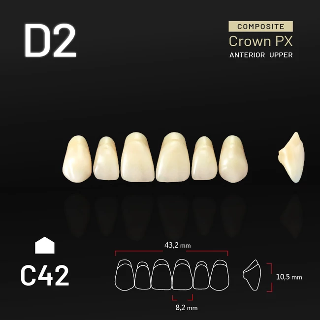 Yamahachi Composit Crown PX upper anterior D2-C42