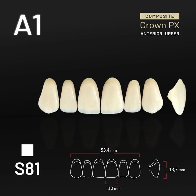 Yamahachi Composit Crown PX upper anterior A1-S81