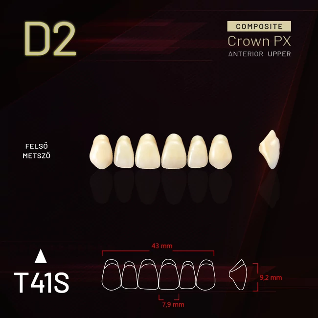 YM Composit Crown Felső metsző D2-T41S